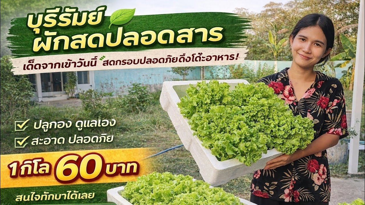 태국에서 60 벌었습니다.. #태국 #한태부부 #채소장사