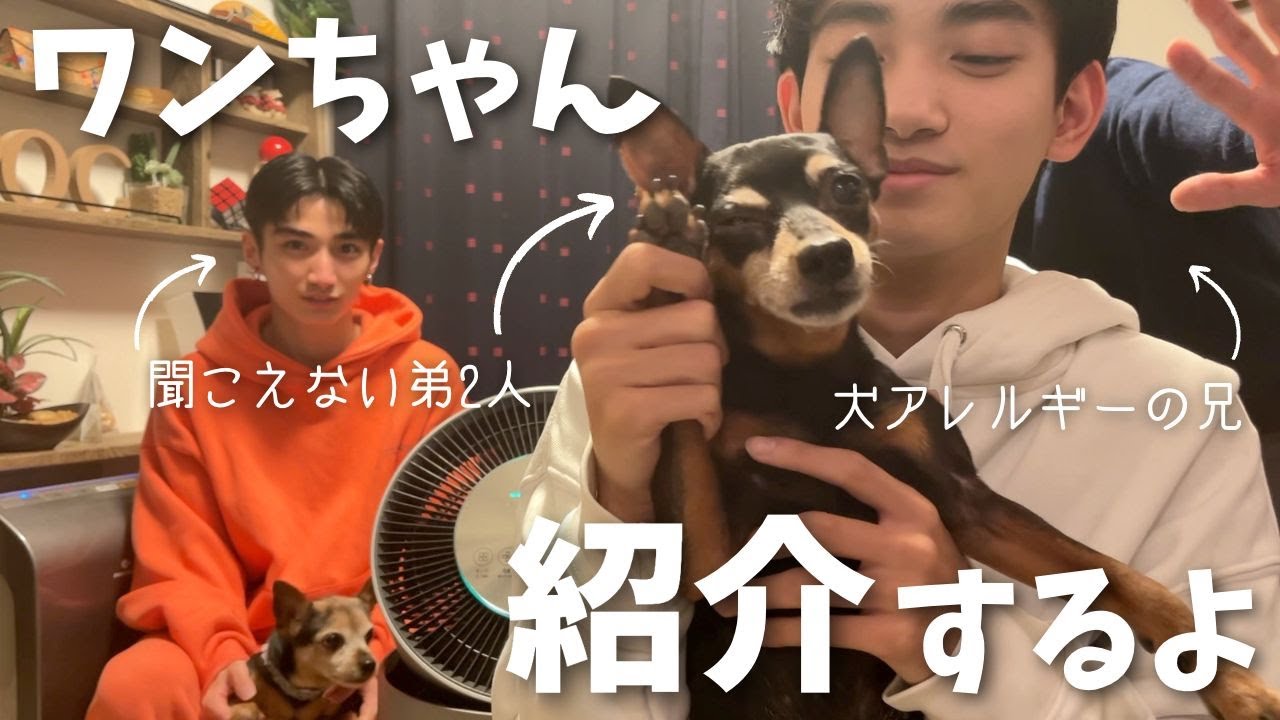 【愛犬紹介】僕たちが愛するワンちゃん達をみんなに紹介します！！