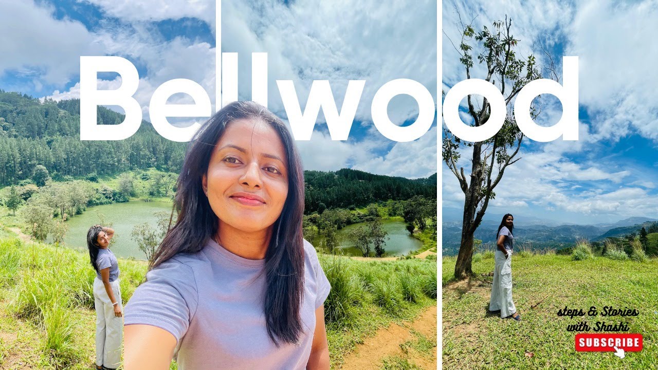 Bellwood Kandy | නුවර තියෙන පුංචි නවසීලන්තය 🍃#travel #minivlog #bellwood