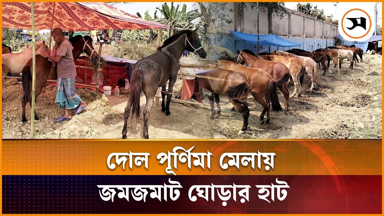 ৫১৯ বছরের ঐতিহ্য, গোপীনাথপুর দোল পূর্ণিমা মেলায় জমজমাট ঘোড়ার হাট | Joypurhat | Samakal News