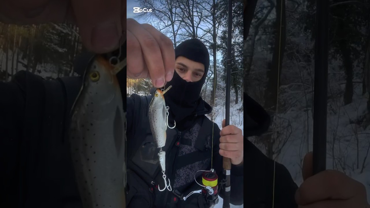 Mladica rijeka krivaja #fisherman #fishingvideo #lure #lurefishing #luresfishing #russia #fish #temu