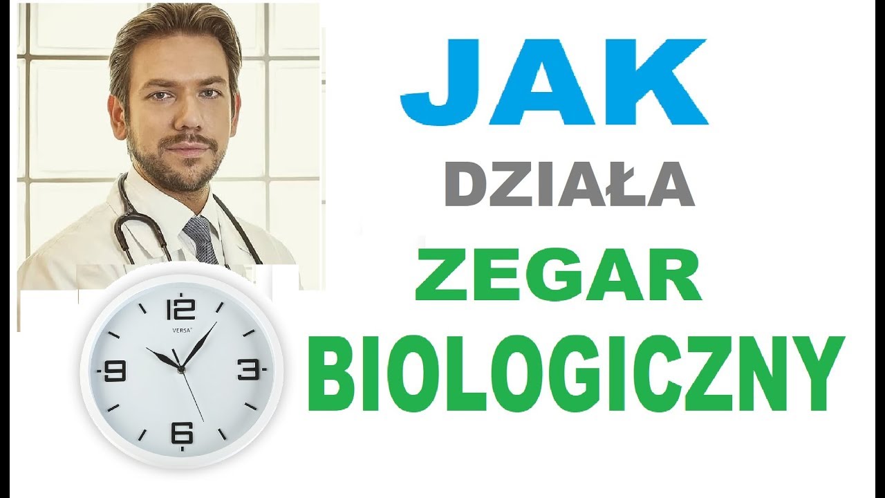 Jak działa zegar biologiczny ? #zegarbiologiczny