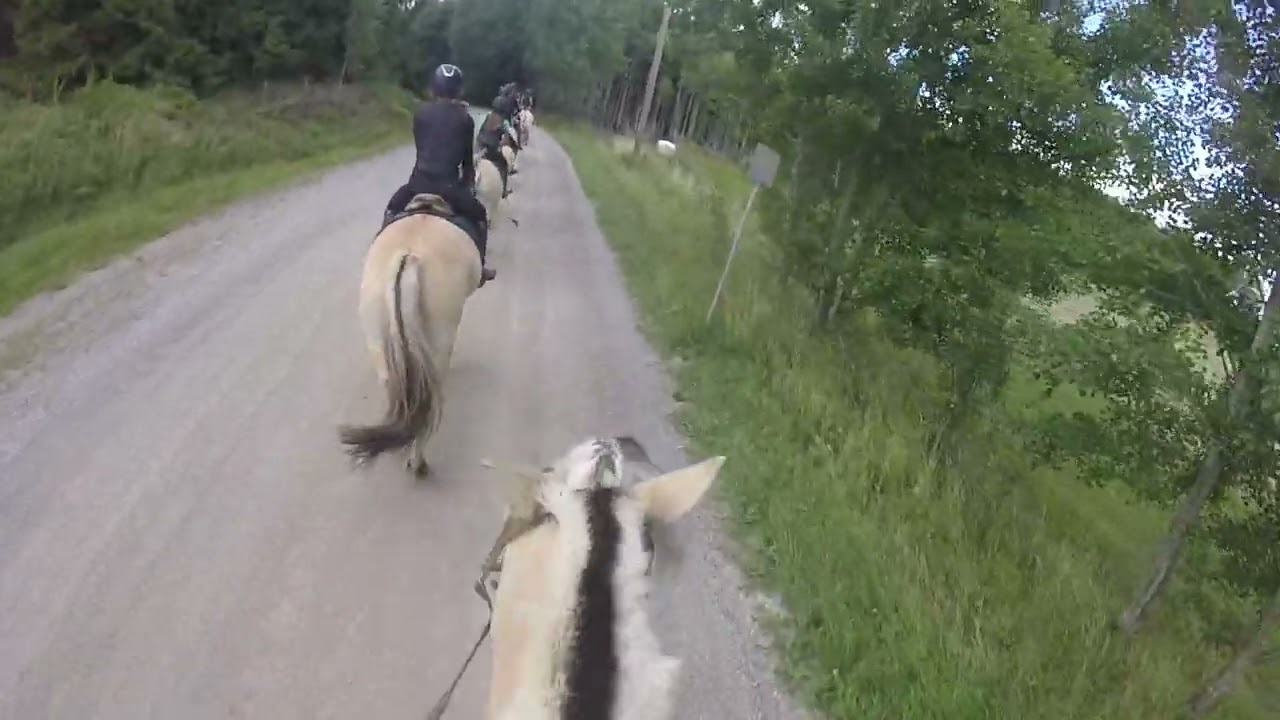 Taffsnäs uteritt 26/7-23