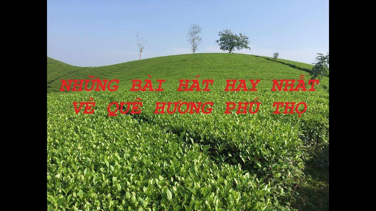 Những bài hát hay nhất về quê hương Phú Thọ