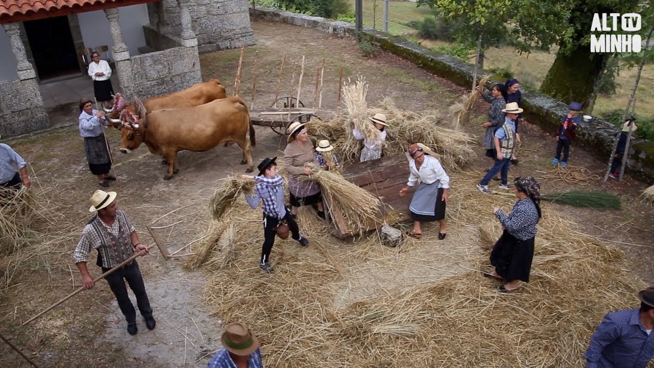 Miranda revive tradição ao recriar segada e malhada do centeio | Altominho TV