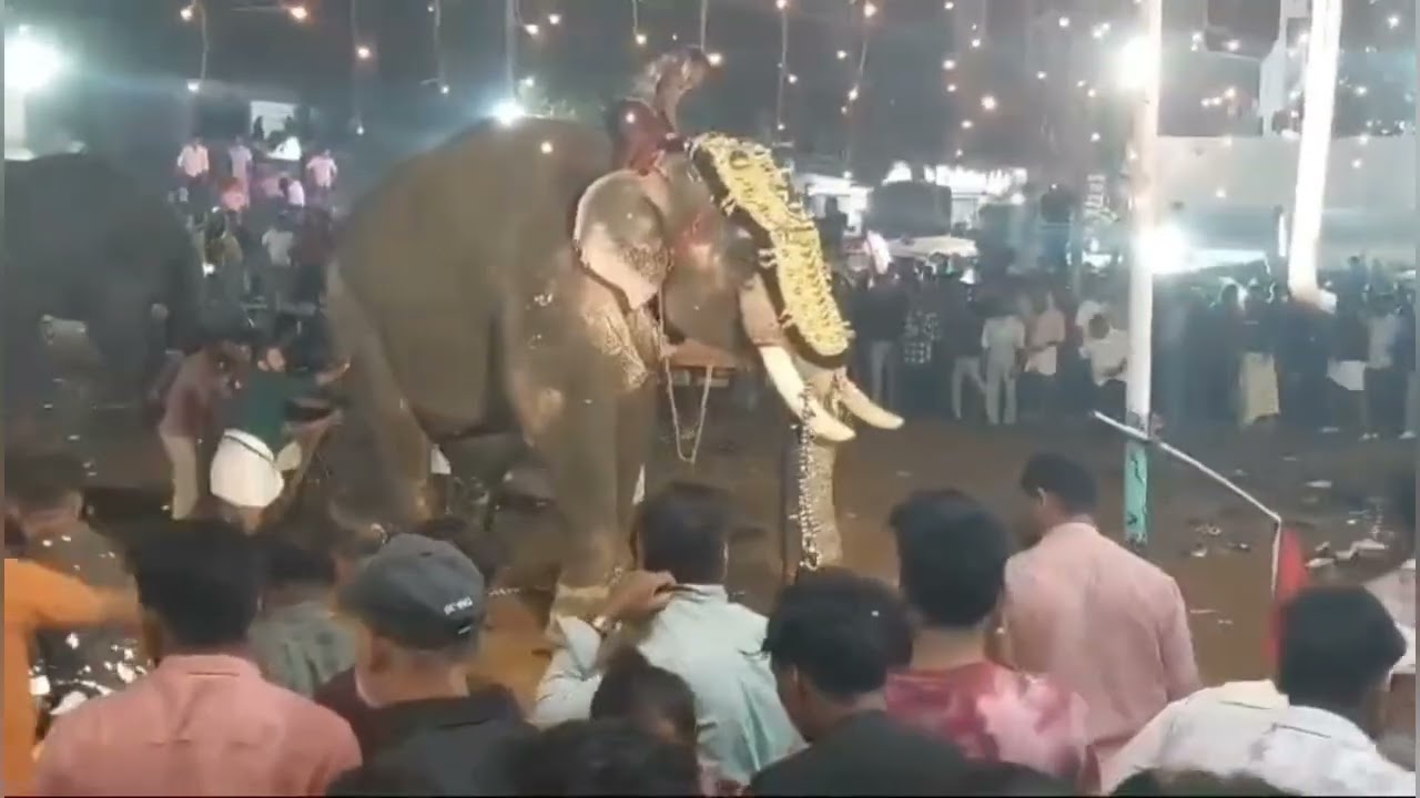 Tirur nercha 2025
