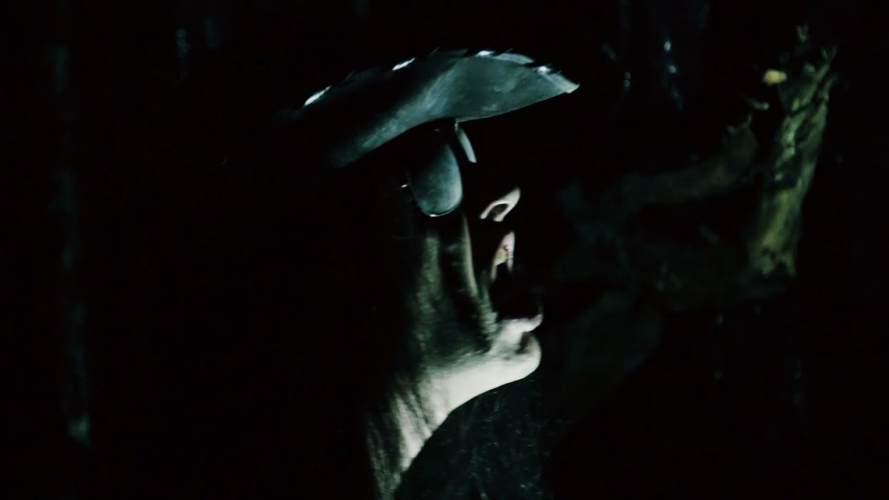 Netherbird - Windwards (Official video)