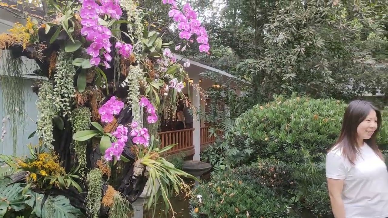 Guangzhou Downtown Tour Guide Botanical Garden in Guangzhou Relaxing Tour for Layover Travel China