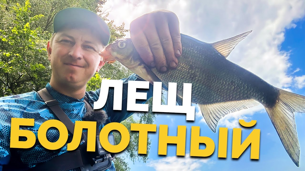 ⚠️ ФИДЕР на БОЛОТЕ❗️ Рыбалка без течения! Болотные лещи! Трудовой фидер! Рыбалка 2023