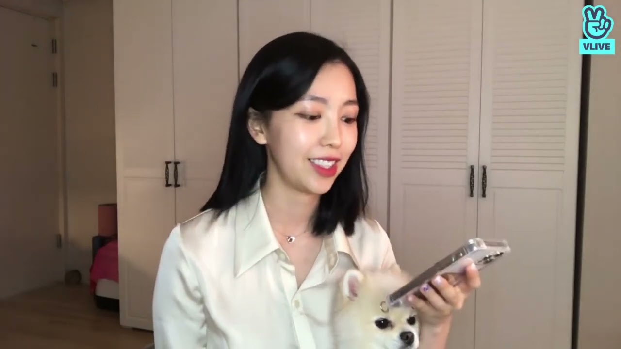 파나틱스 도이 브이앱 (Full Ver.)