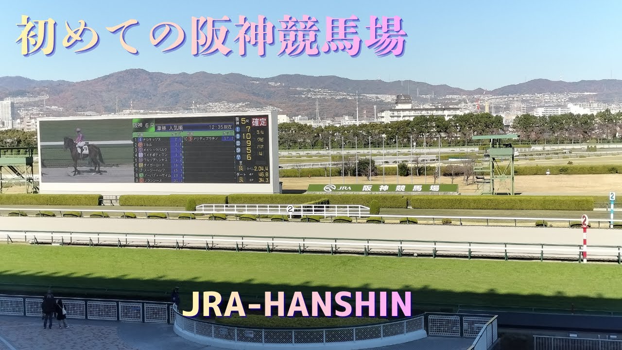 初めての阪神競馬場