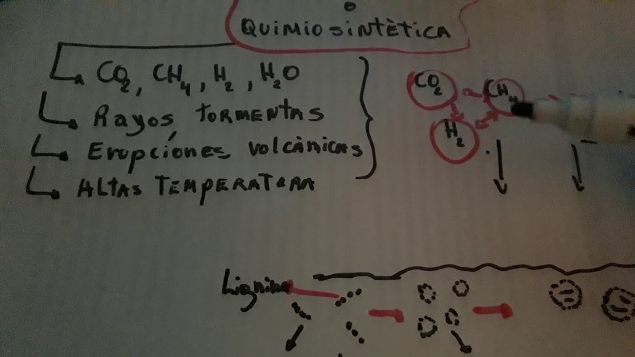 Teor&iacute;a Quimiosint&eacute;tica