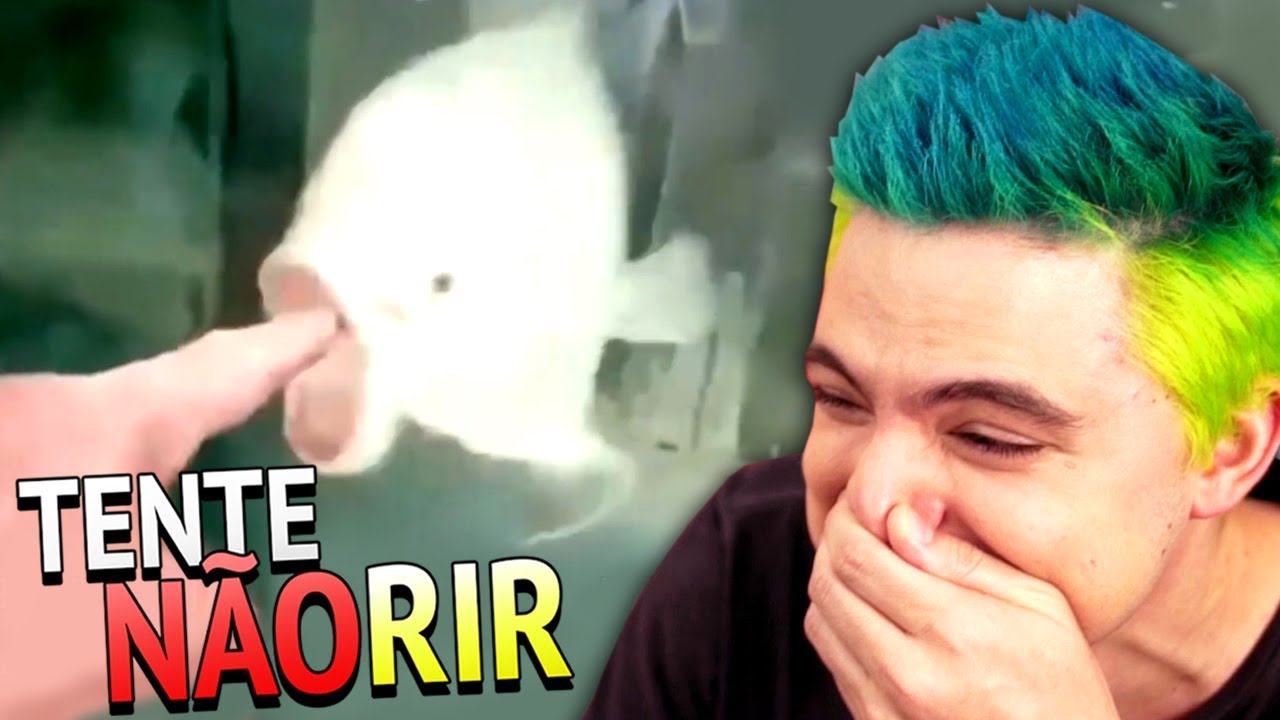 TENTE NÃO RIR! - ANIMAIS QUE FALAM [+10]
