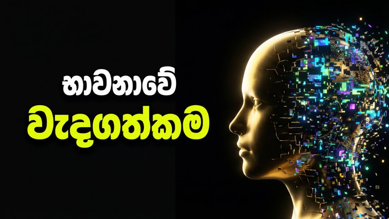 භාවනාවේ වැදගත්කම | The science of meditation.