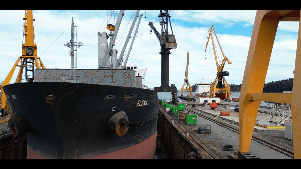 Bulk Carrier ELENA