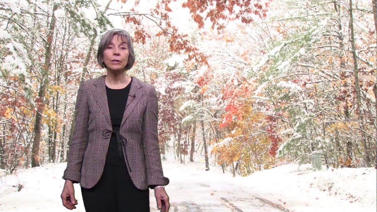 Happy Holidays from State Representative Denise Provost