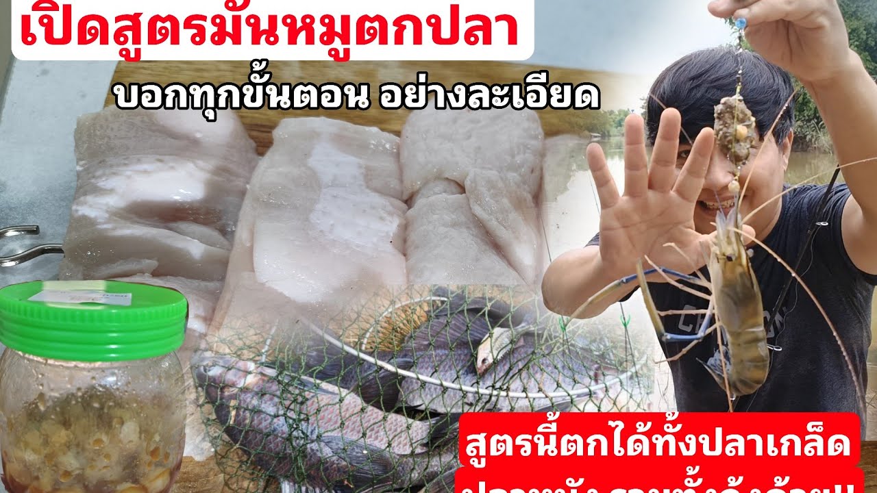 เปิดสูตรมันหมูตกปลา ใช้ตกปลาหน้าดิน ทั้งปลาเกล็ด ปลาหนัง กุ้งแม่น้ำ ใช้ได้ผลดีมาก คอนเฟิร์มครับผม🥰