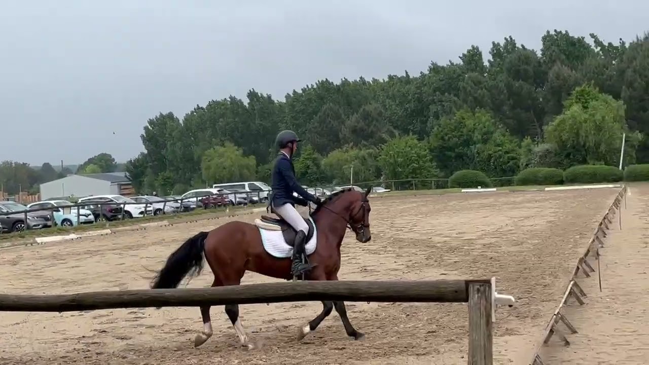 Louba Star Seizh Avel Lays étalons CCJP 4 ans CCE Vernoil Dressage 4 mai 2025