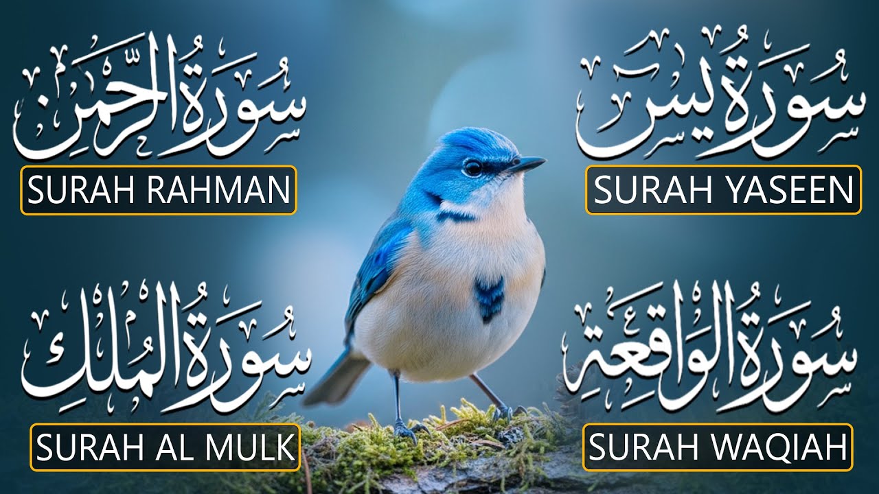 Heart Touching Quran Recitation That Moves The Soul | Surah Yasin Ar-Rahman Al-Waqiah Al-Mulk