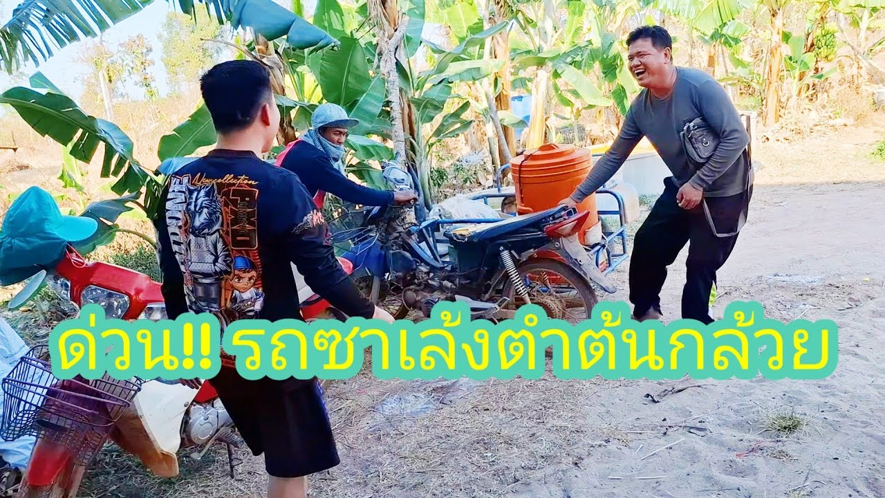 Ep: 1285 ด่วน!!! เกีดเหตุชาเล้งแบรกแตก พุ่งชนตำต้นกล้วย