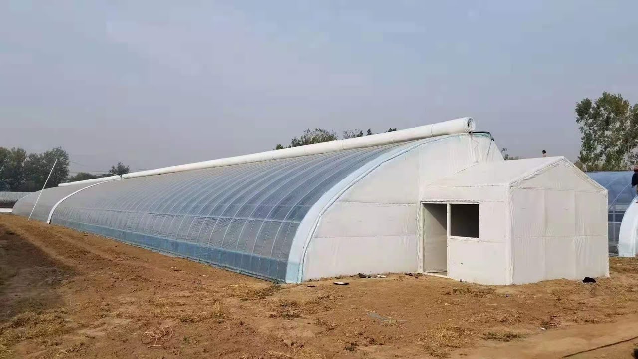 China Passive In-solar Greenhouse