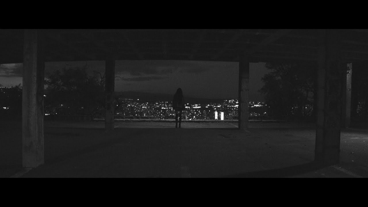 MGZAVREBI - Sait
