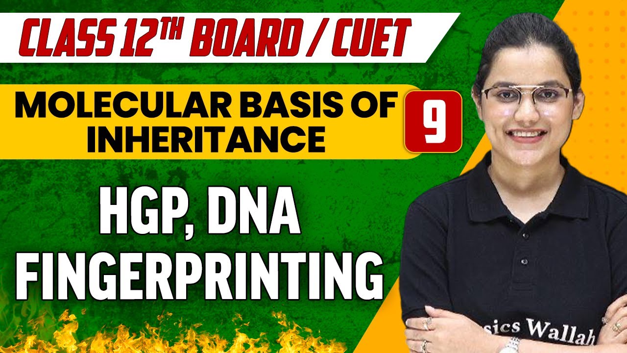Molecular basis of Inheritance 09 | HGP, DNA Fingerprinting | Class 12th/CUET