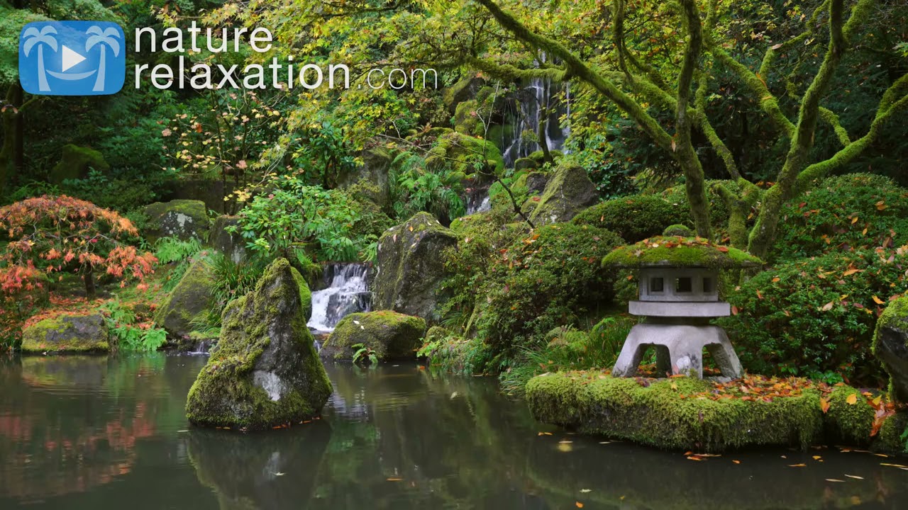 4K Zen Garden 1 HR Static Nature Relaxation Video