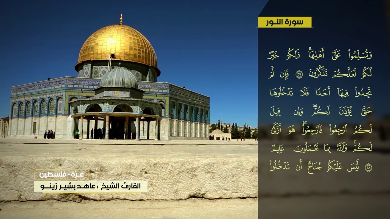 عاهد زينو سورة النور