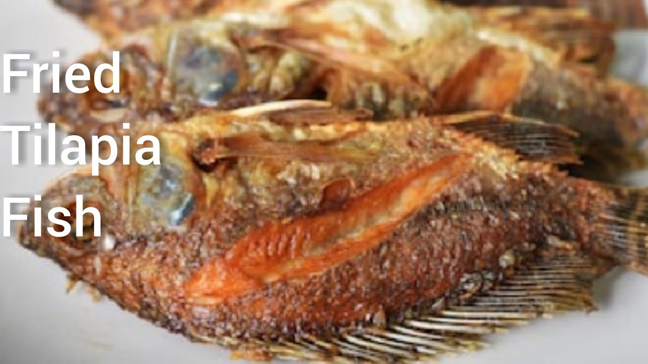 Fried Fish Recipe | How To Make Crispy, Crunchy Fried Fish. Easy Tilapia Fish Recipe