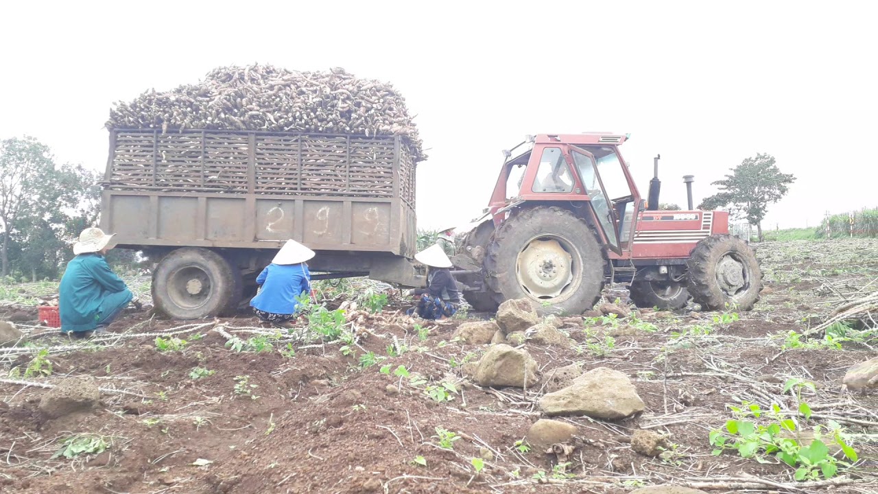 May cay fiat 100  chờ mi trên 12tấn nhìn la me a,