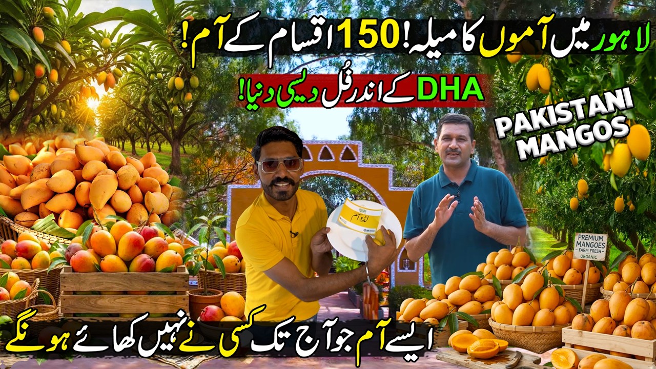 150 World Famous Types of Mangoes | Pakistan's Biggest Mango Festival in Lahore Organic Village