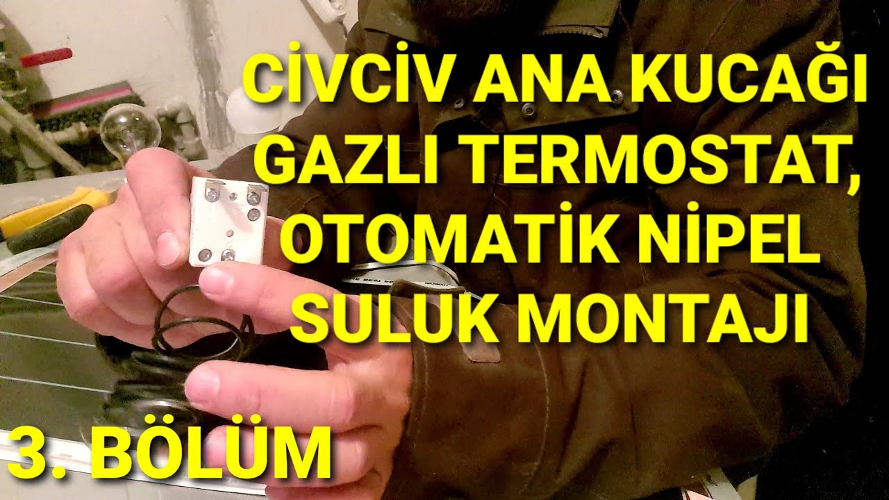 GAZLI TERMOSTAT - KARBON FİLM - AMPUL BAĞLANTISI/ OTOMATİK NİPEL SULUK YAPIMI. CİVCİV BÜYÜTME KAFESİ