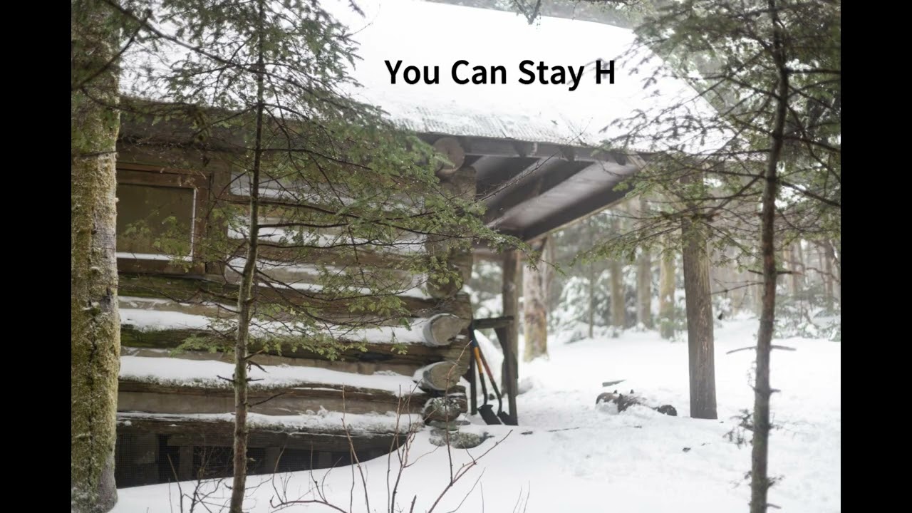 You Can Stay Here