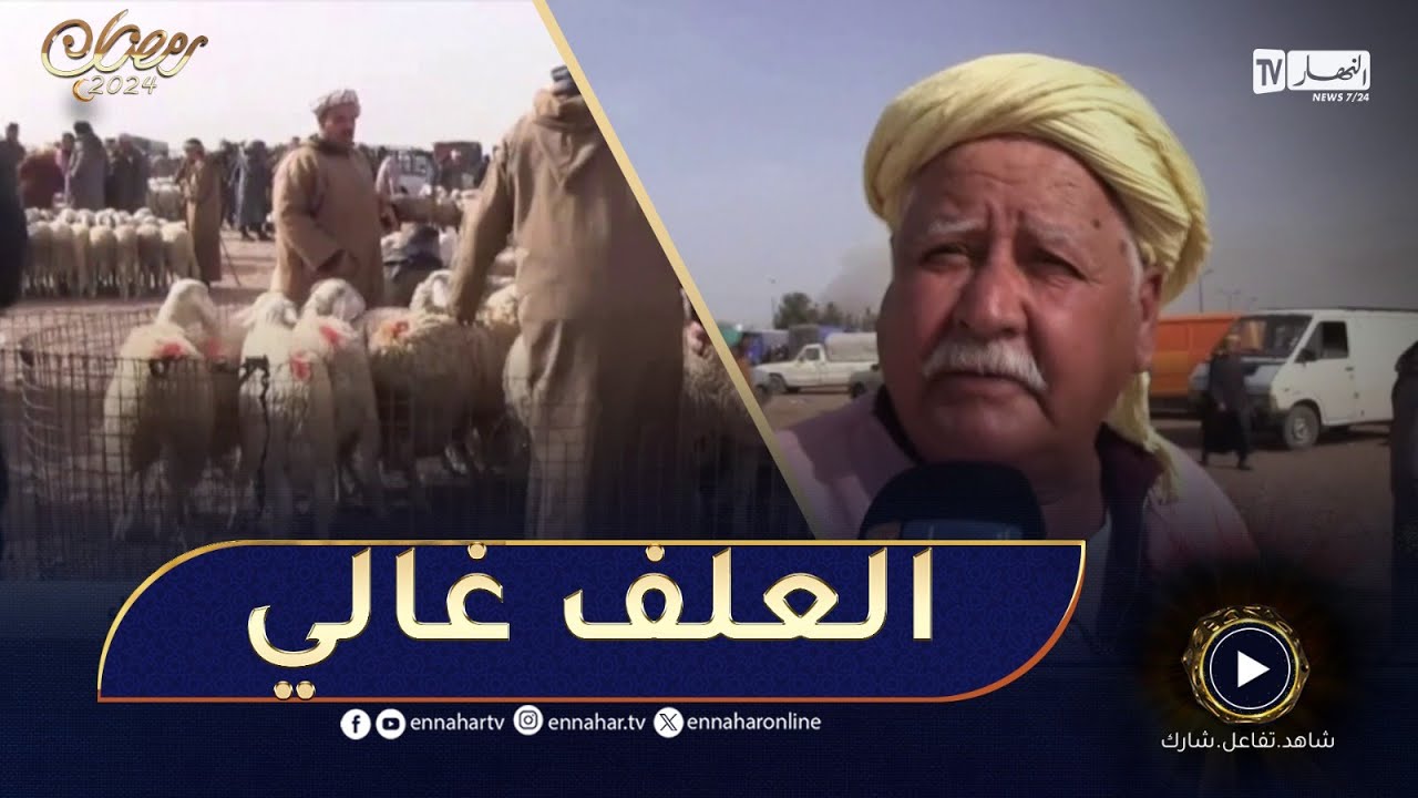 سيدي بلعباس: ارتفاع أسعار المواشي في رمضان وسط عزوف عن الشراء