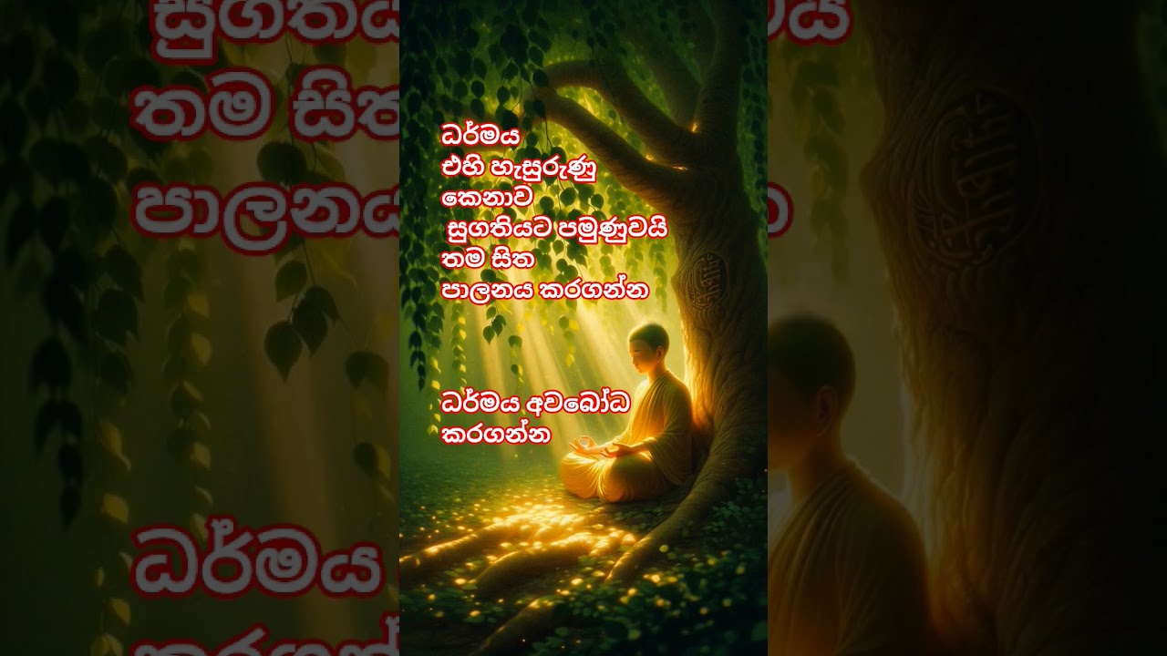 #dhamma