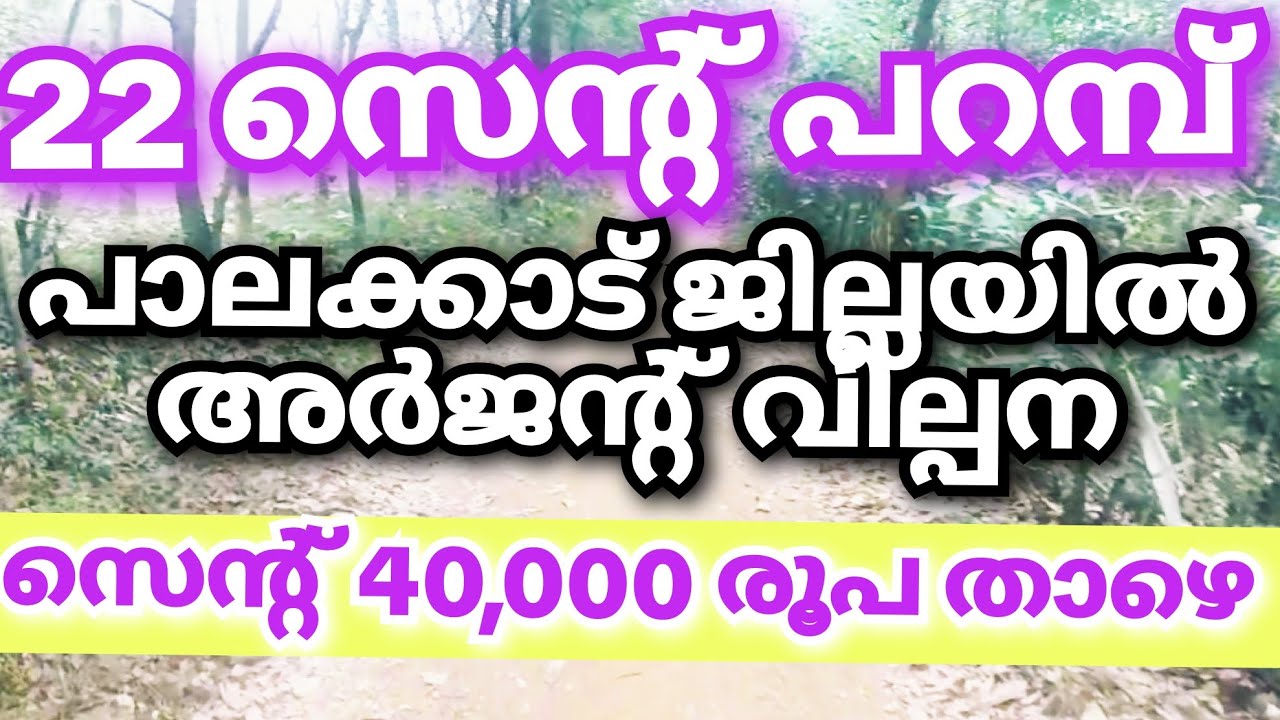 അർജന്റ് വില്പന 22 സെന്റ് പറമ്പ് രണ്ട് സൈഡ് വഴിയോട് കൂടി 😱#lowbudget 
