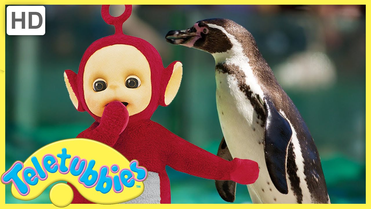 ★Teletubbies English Episodes★ Penguins ★ Full Episode - HD (S06E132)