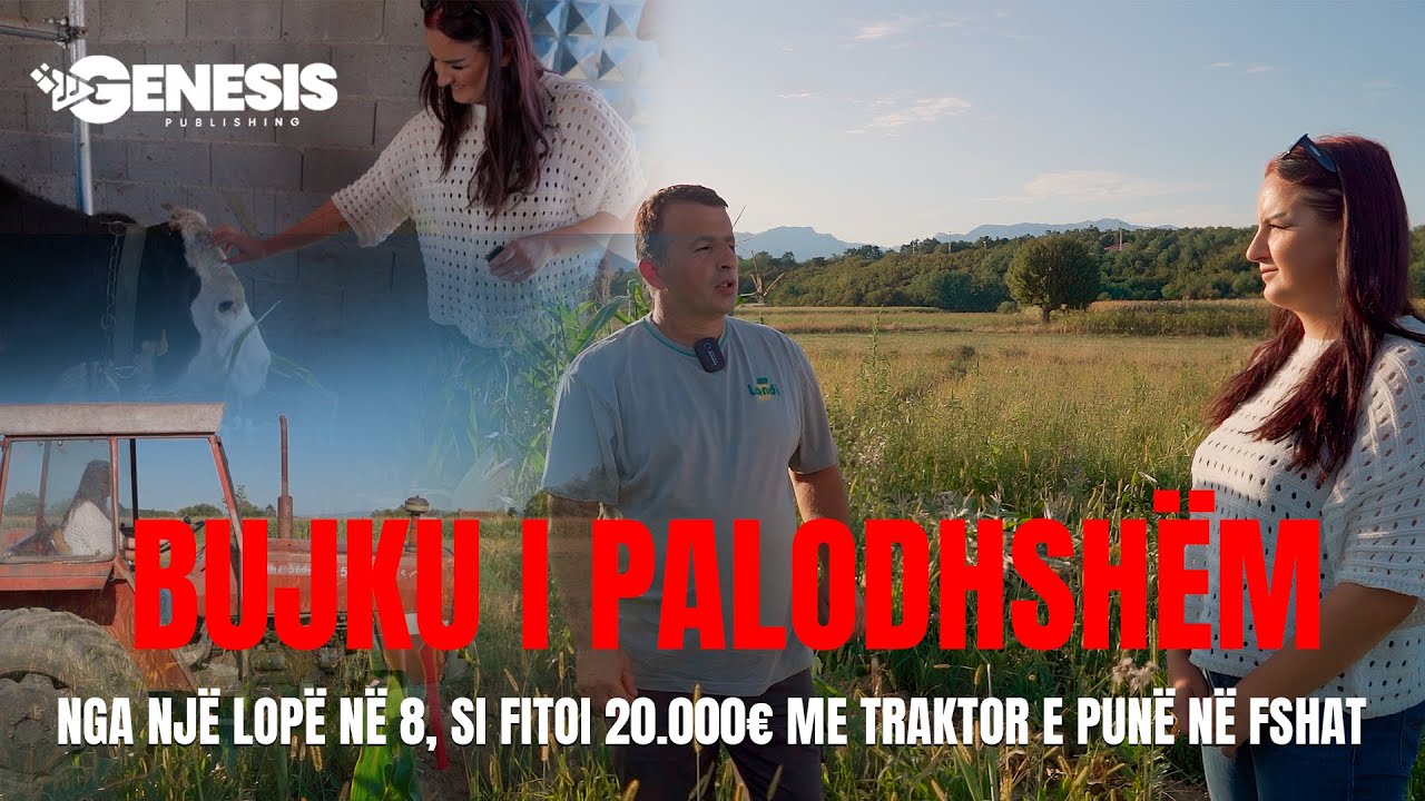 BUJKU I PA LODHSHËM: Nga një lopë në 8, si fiton 20.000€ me traktor dhe punë për të tjerët në fshat