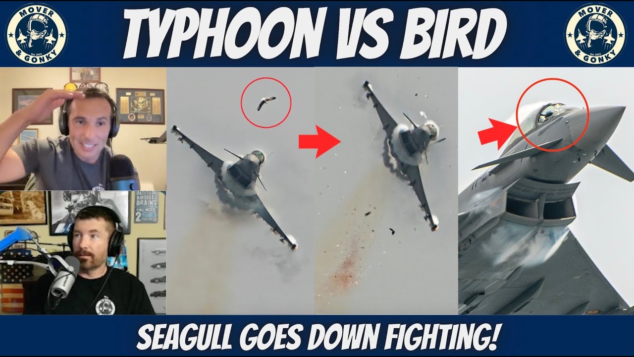 Seagull vs Typhoon – Fighter Pilots React