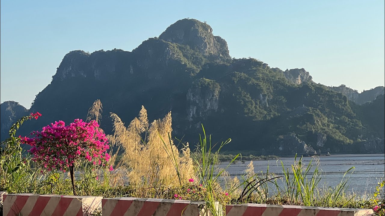 The chronic instability of chasing newness