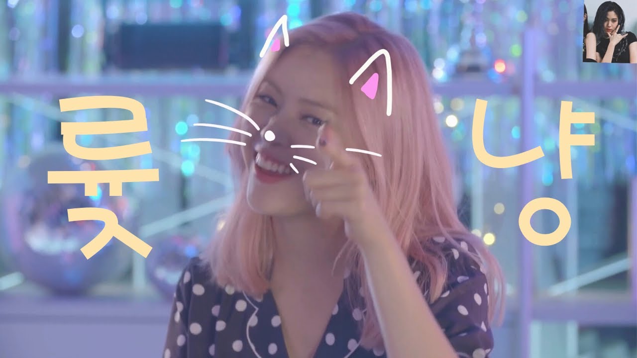 [ITZY 류진] - 류진이는 고양이라는 증거 (륮냥이)