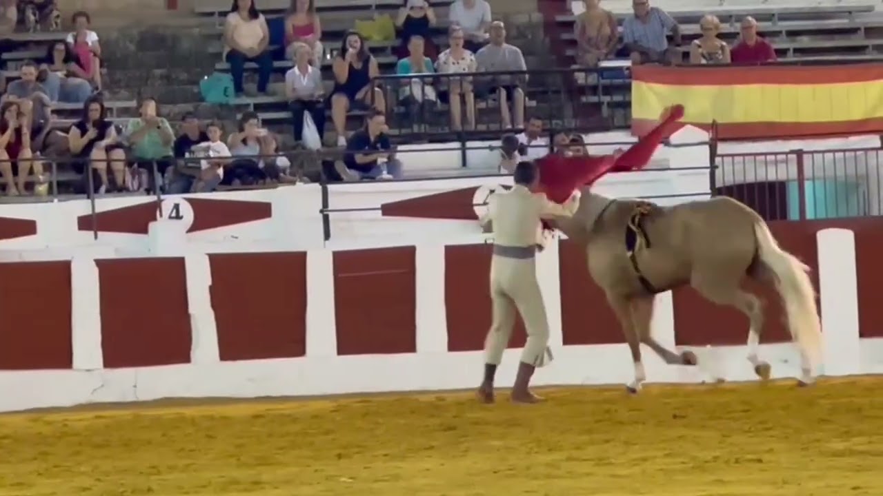 Javier García con Luca en Valdepeñas (Ciudad Real)