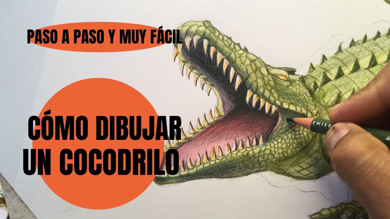 Cómo Dibujar Un Cocodrilo cuerpo completo realista Paso a Paso fácil
