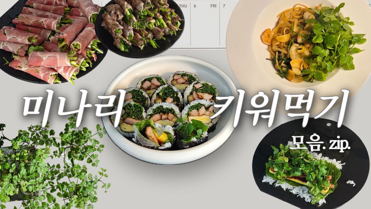 🌱 프로 혼밥러의 미나리 자급자족 브이로그 모음.zipㅣ목살 미나리김밥ㅣ미나리 오일파스타ㅣ미나리 고기말이 레시피