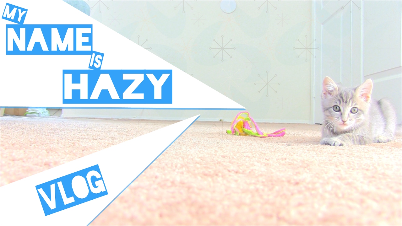 Hi! My Name Is Hazy [Vlog]