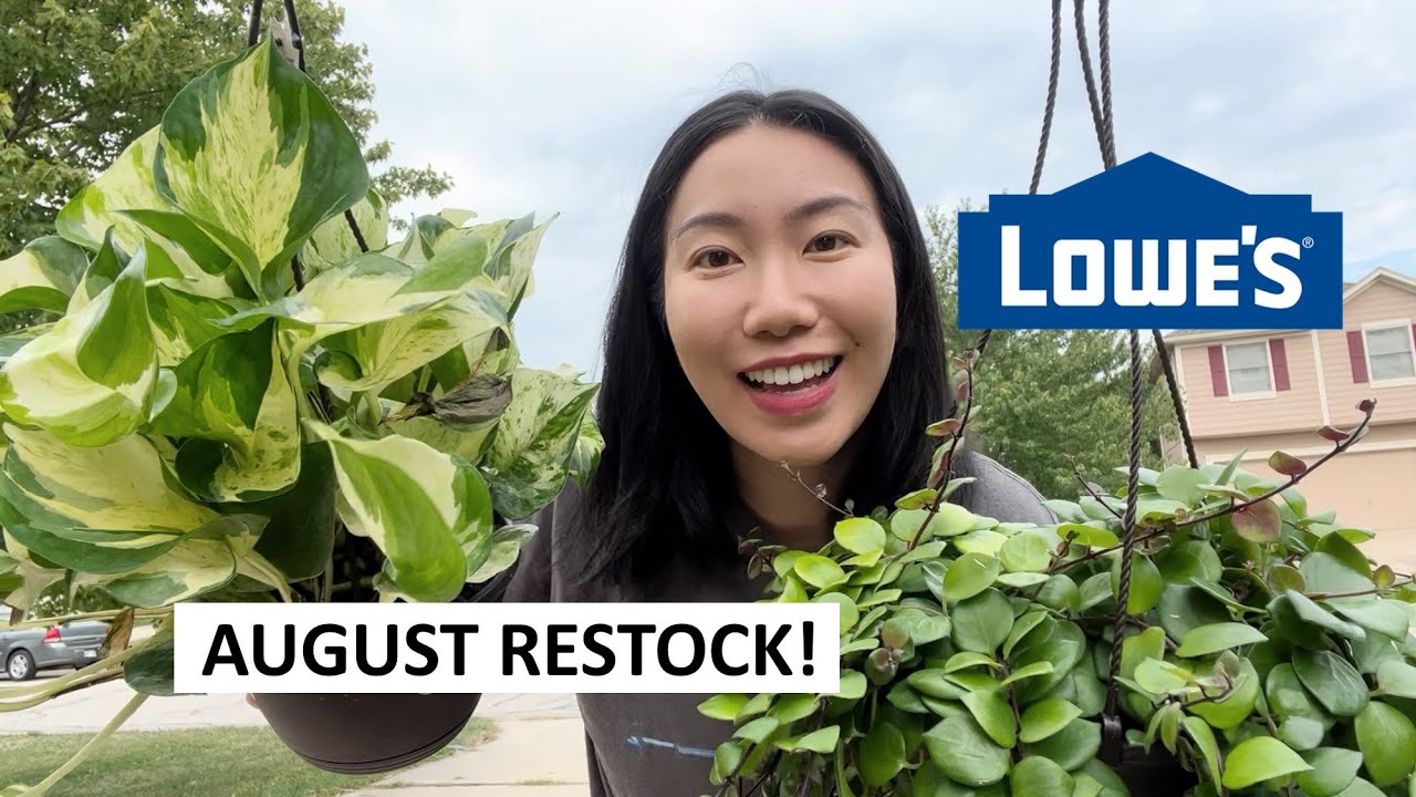 Lowe’s August Plant Restock: Manjula Pothos, Pink Passion Lipstick Plant, New Plant Vendor & More!