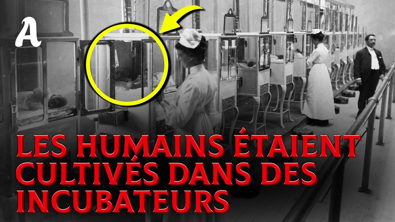 Incubateurs Pour Humains : Comment La Terre A Vraiment Été Peuplée ?