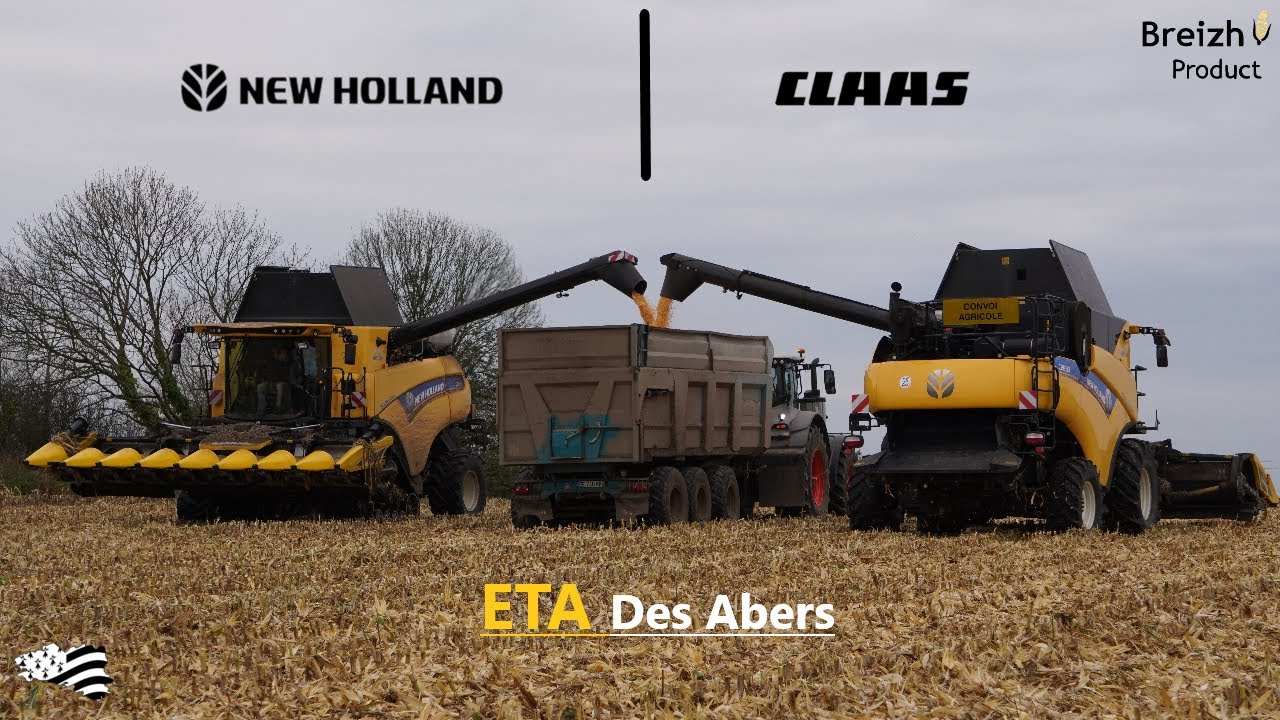Moisson de Maïs Grain à l'ETA des Abers | Récolte 2024