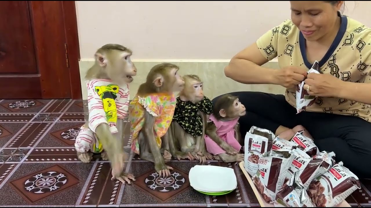 4 Siblings Sit Very Obediently & Excited While Mom Prepare Chocolate Cereal For Them To Eat ,